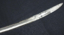 FRENCH LIGHT CAVALRY OFFICER'S SWORD ca.1795