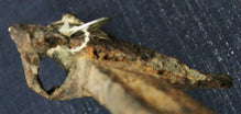 US M1855 COLT REVOLVING RIFLE BAYONET - COLT FACTORY FIRE RELIC